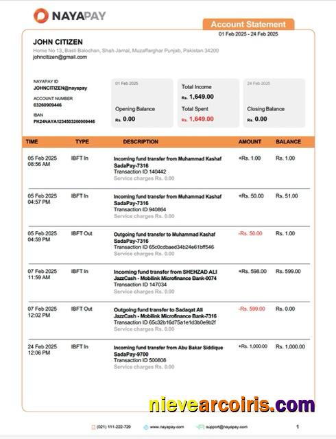 Pakistan NayaPay account statement Word and PDF